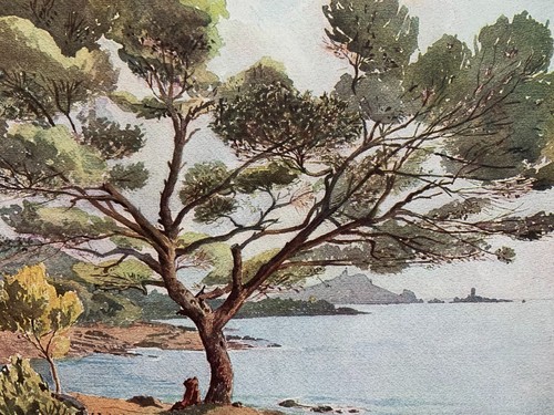 Aquarelle pardinel le - aquarelle,