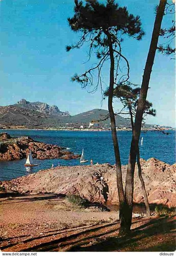 Carte postale le - carte,